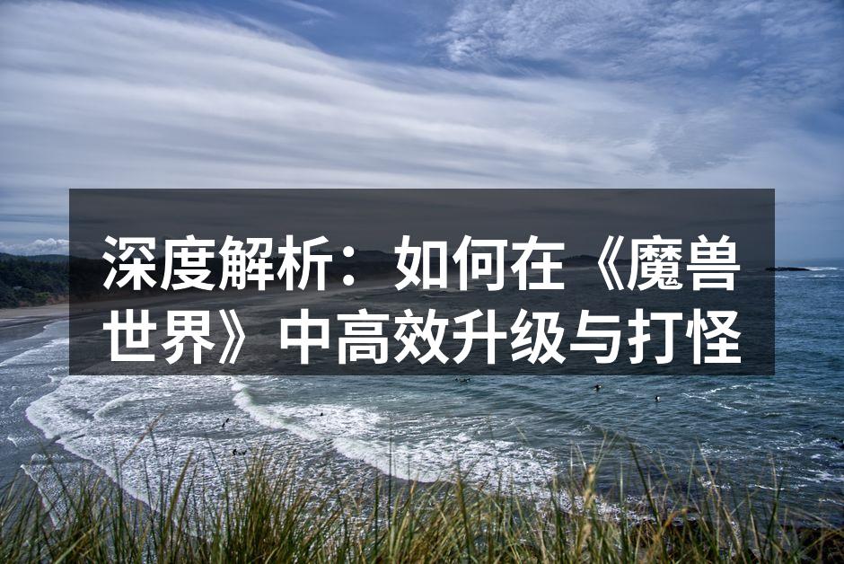 深度解析：如何在《魔兽世界》中高效升级与打怪